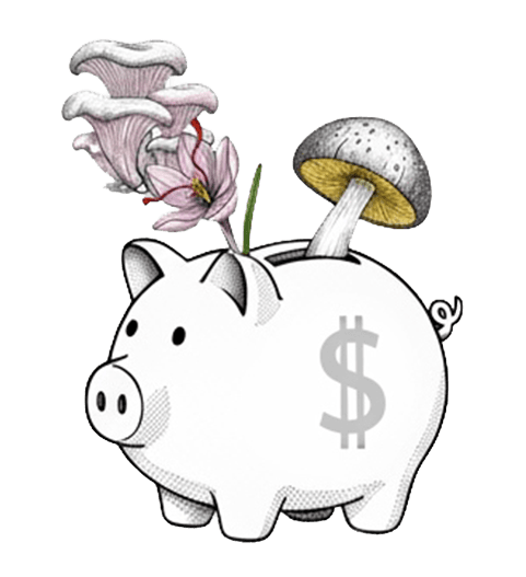 True Cost Pricing — A Better Business Model for Supplements