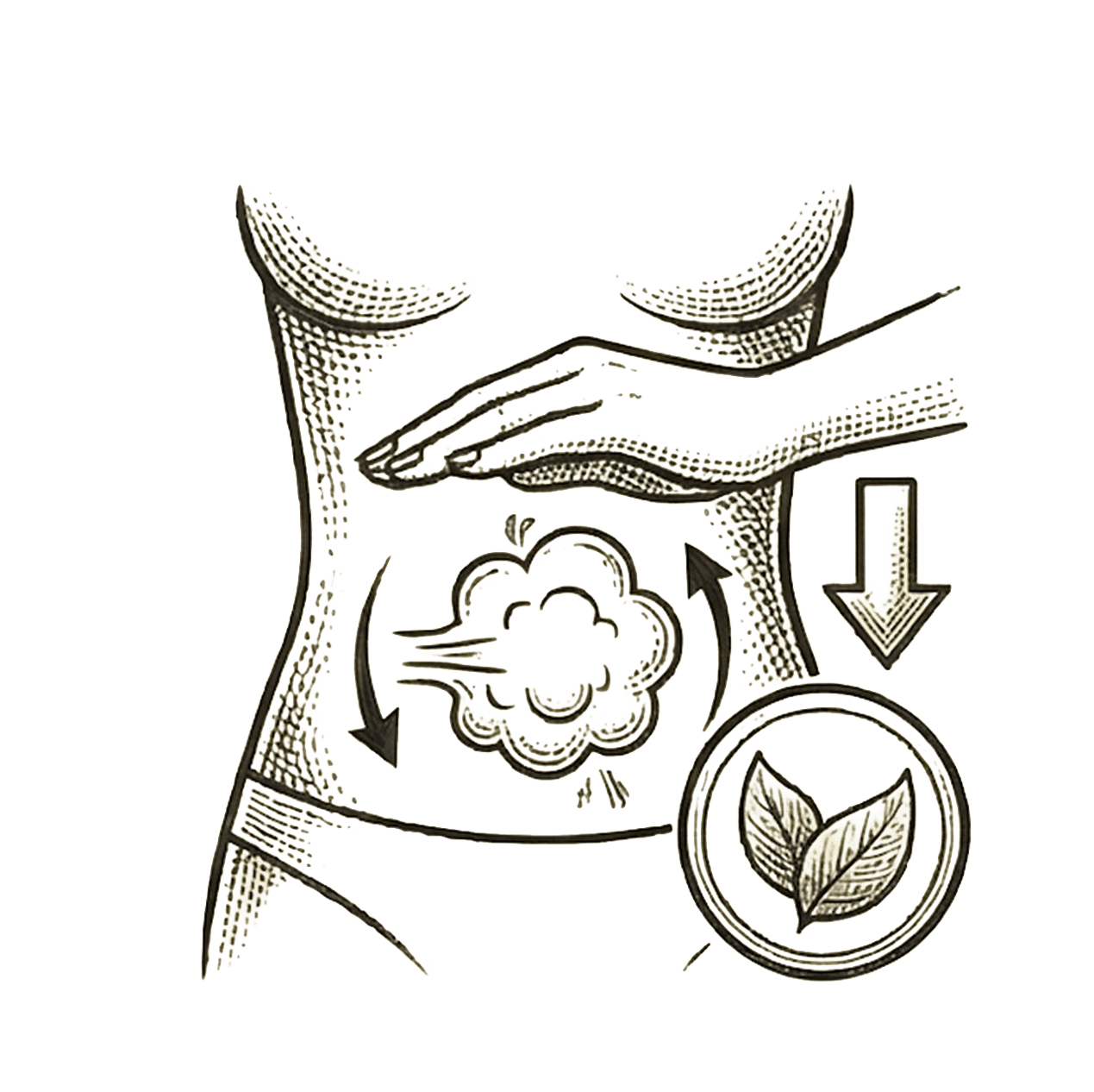 Florenzymes™ gas and bloating support benefit illustration