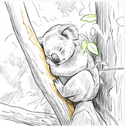 Organic Ashwagandha benefit illustration